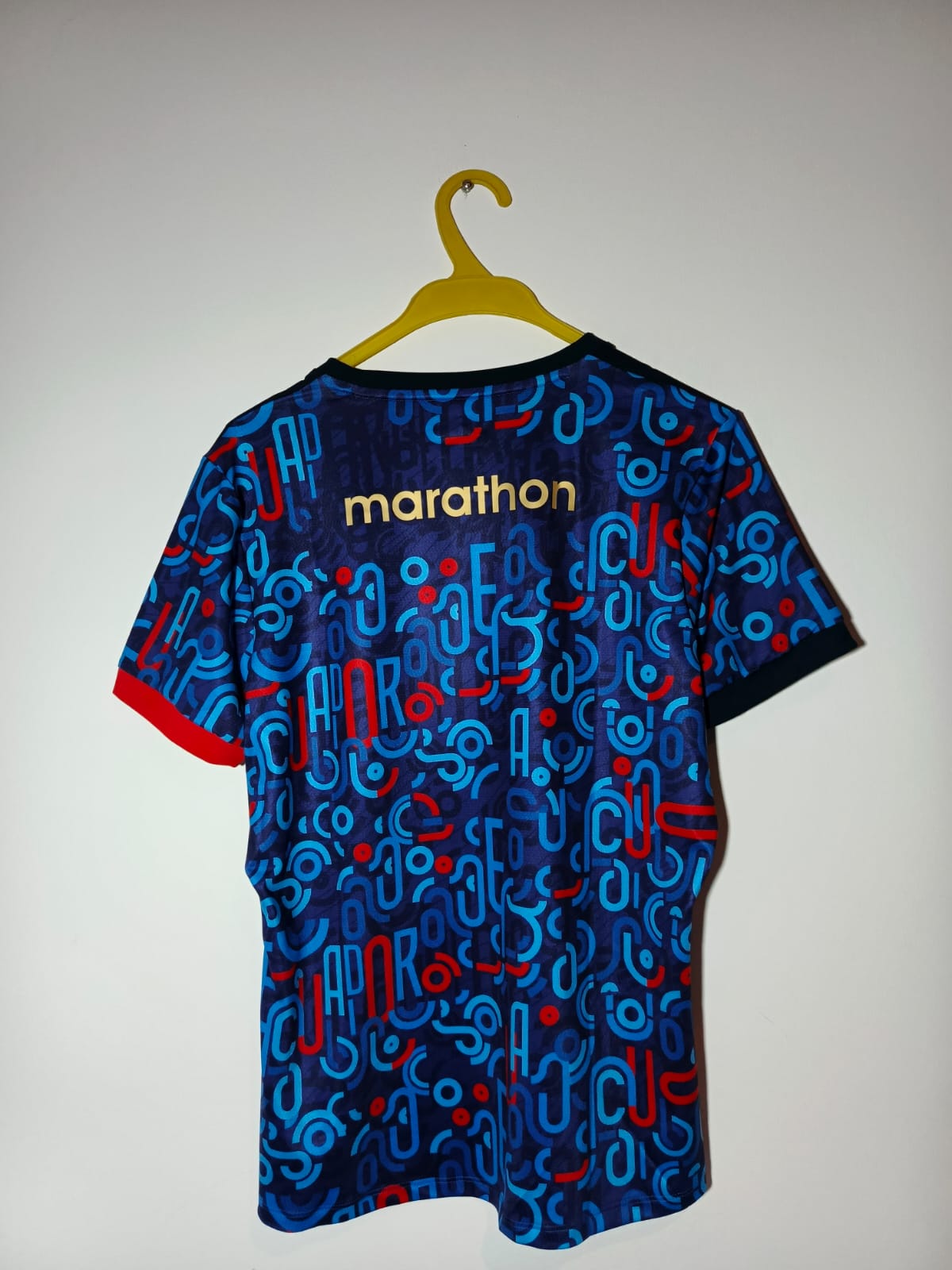 Camiseta FEF Entrenamiento Copa America 2024 - Imagen 2