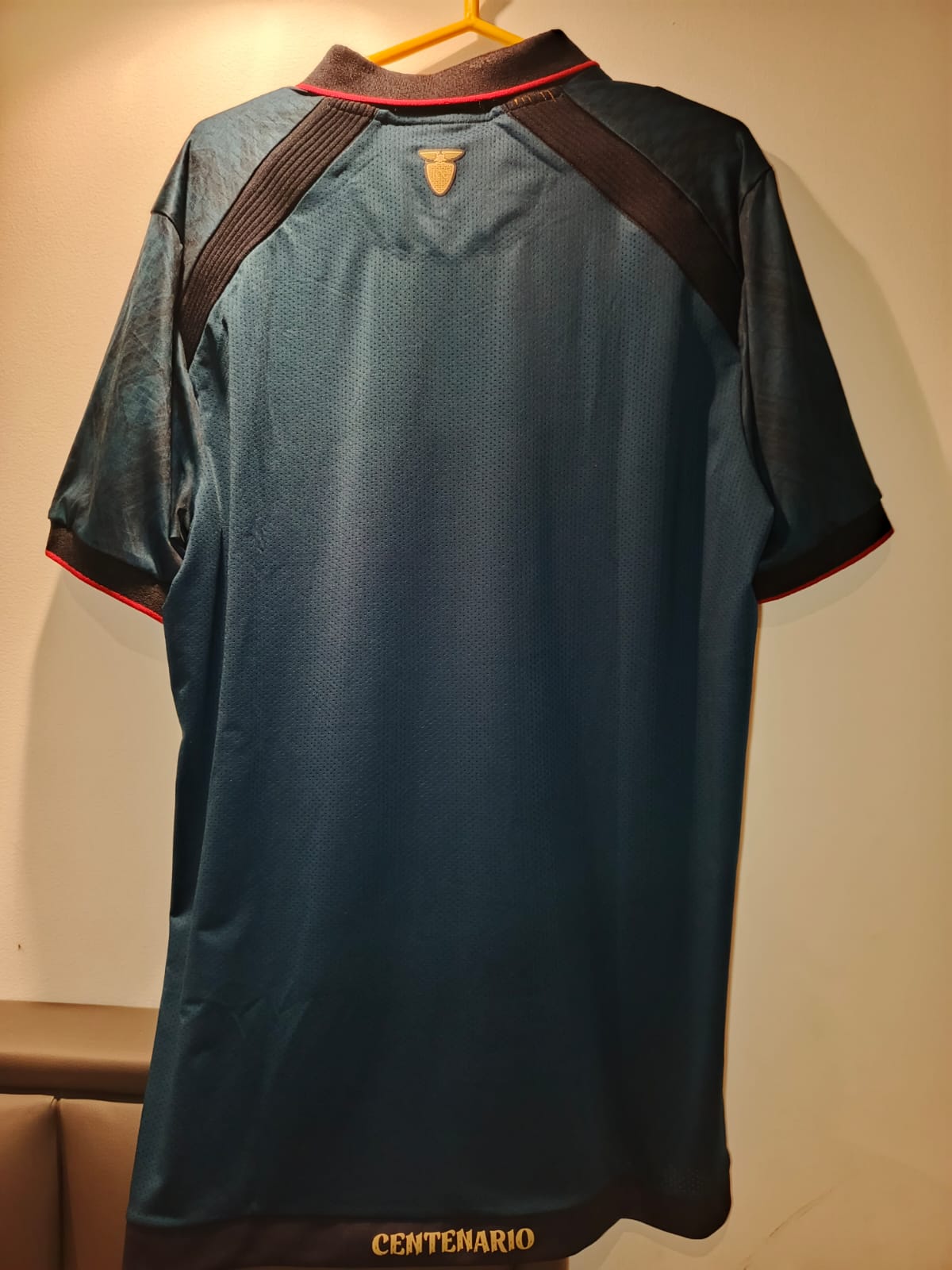 Camiseta FEF Centenario - Imagen 5
